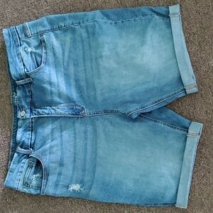Terra & Sky Women's High Rise Distressed Stretch Denim Jean Shorts Size 22W